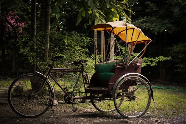 Tricycle Construction